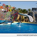 Marineland - Dauphins - Spectacle - 17h00 - 5949