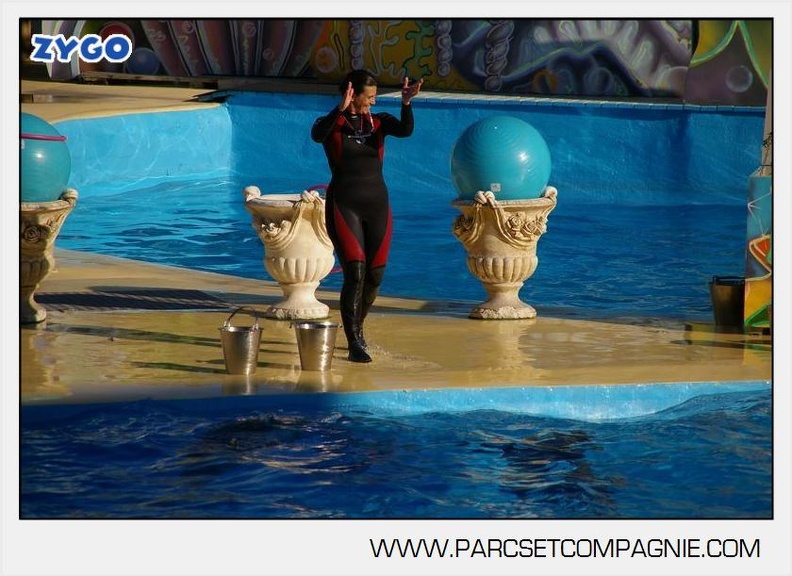 Marineland - Dauphins - Spectacle - 17h00 - 5950