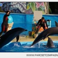 Marineland - Dauphins - Spectacle - 17h00 - 5951