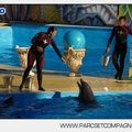 Marineland - Dauphins - Spectacle - 17h00 - 5952