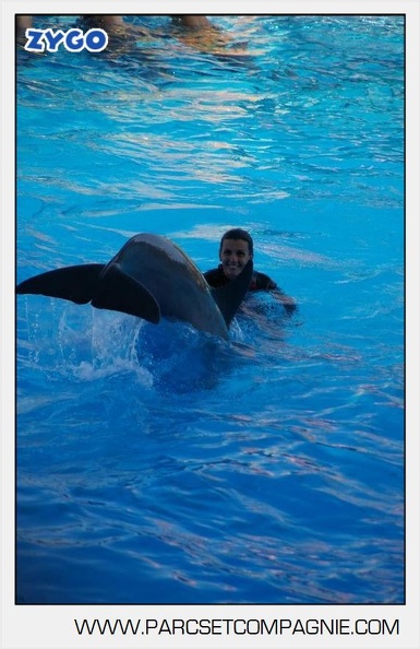 Marineland - Dauphins - Spectacle - 17h00 - 5953