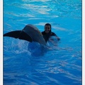 Marineland - Dauphins - Spectacle - 17h00 - 5953