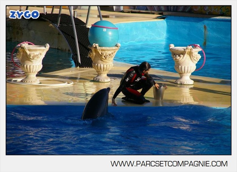 Marineland - Dauphins - Spectacle - 17h00 - 5954