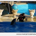 Marineland - Dauphins - Spectacle - 17h00 - 5954