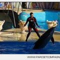 Marineland - Dauphins - Spectacle - 17h00 - 5955