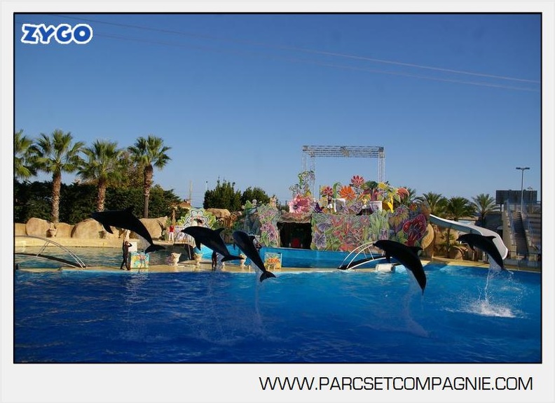 Marineland - Dauphins - Spectacle - 17h00 - 5956