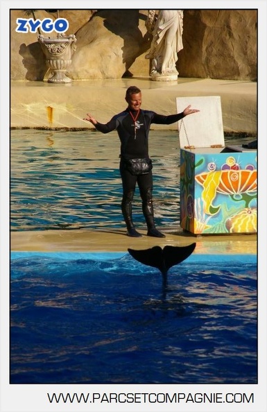 Marineland - Dauphins - Spectacle - 17h00 - 5957