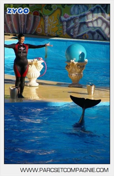 Marineland - Dauphins - Spectacle - 17h00 - 5958
