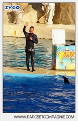 Marineland - Dauphins - Spectacle - 17h00 - 5959