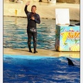 Marineland - Dauphins - Spectacle - 17h00 - 5959