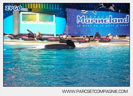 Marineland - Orques - 6082