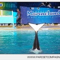 Marineland - Orques - 6088