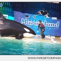Marineland - Orques - Spectacle - 6166