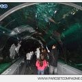 Marineland - Requins - Tunnel - 6378