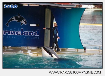 Marineland - Orques - Spectacle - 6446