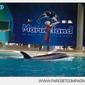 Marineland - Orques - Spectacle - 6452