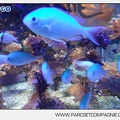 Marineland - Aquariums - 6876