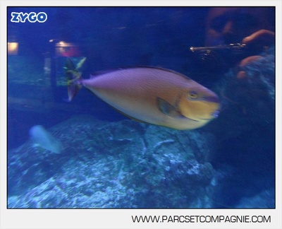 Marineland - Aquariums - 6882