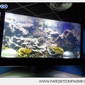 Marineland - Aquariums - 6883