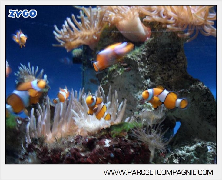 Marineland_-_Aquariums_-_6886.jpg