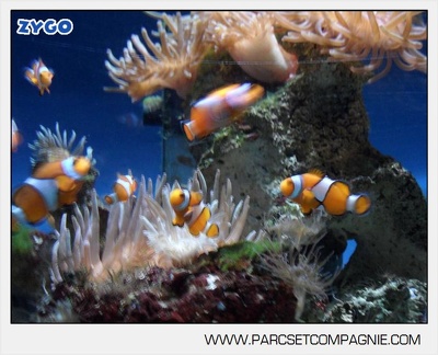 Marineland - Aquariums - 6886