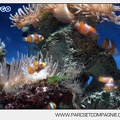 Marineland - Aquariums - 6888