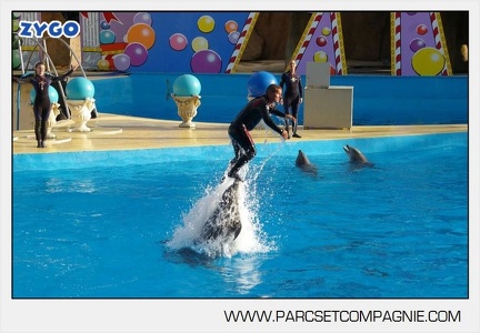 Marineland - Dauphins - Spectacle jour - 7169