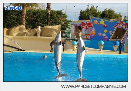 Marineland - Dauphins - Spectacle jour - 7172