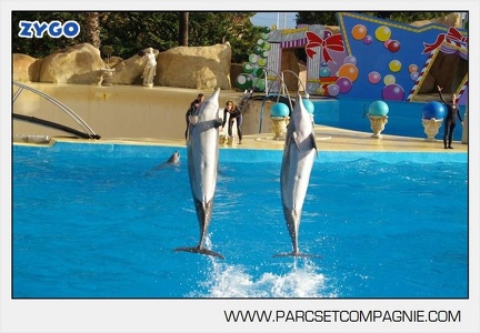 Marineland - Dauphins - Spectacle jour - 7173