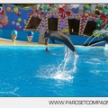 Marineland - Dauphins - Spectacle jour - 7174