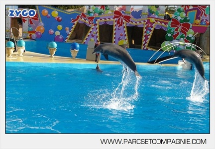 Marineland - Dauphins - Spectacle jour - 7174