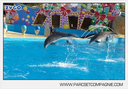Marineland - Dauphins - Spectacle jour - 7175