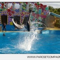 Marineland - Dauphins - Spectacle jour - 7176