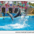 Marineland - Dauphins - Spectacle jour - 7177