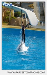 Marineland - Dauphins - Spectacle jour - 7178