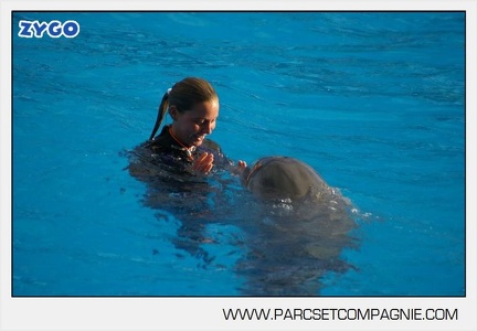 Marineland - Dauphins - Spectacle jour - 7181