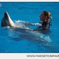 Marineland - Dauphins - Spectacle jour - 7186