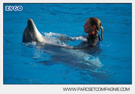 Marineland - Dauphins - Spectacle jour - 7186