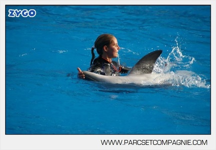 Marineland - Dauphins - Spectacle jour - 7191