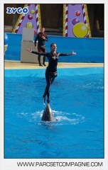 Marineland - Dauphins - Spectacle jour - 7194
