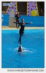 Marineland - Dauphins - Spectacle jour - 7194