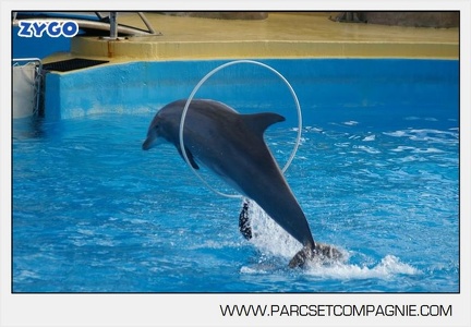 Marineland - Dauphins - Spectacle jour - 7195