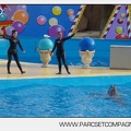 Marineland - Dauphins - Spectacle jour - 7196