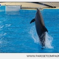 Marineland - Dauphins - Spectacle jour - 7197