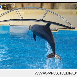 Marineland - Dauphins - Spectacle jour