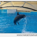 Marineland - Dauphins - Spectacle jour - 7199