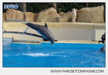 Marineland - Dauphins - Spectacle jour - 7200