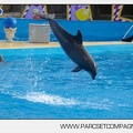 Marineland - Dauphins - Spectacle jour - 7201