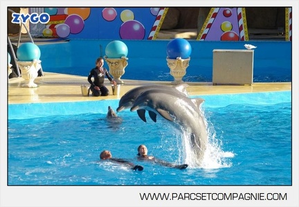 Marineland - Dauphins - Spectacle jour - 7213