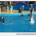 Marineland - Dauphins - Spectacle jour - 7215